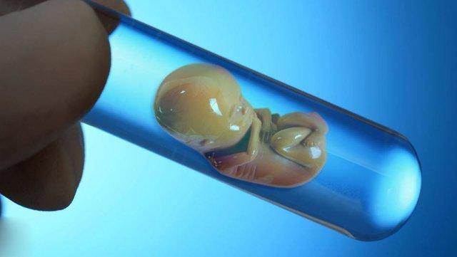 اثر هیالورونان اسپرم در مراحل ابتدایی تکوین جنین