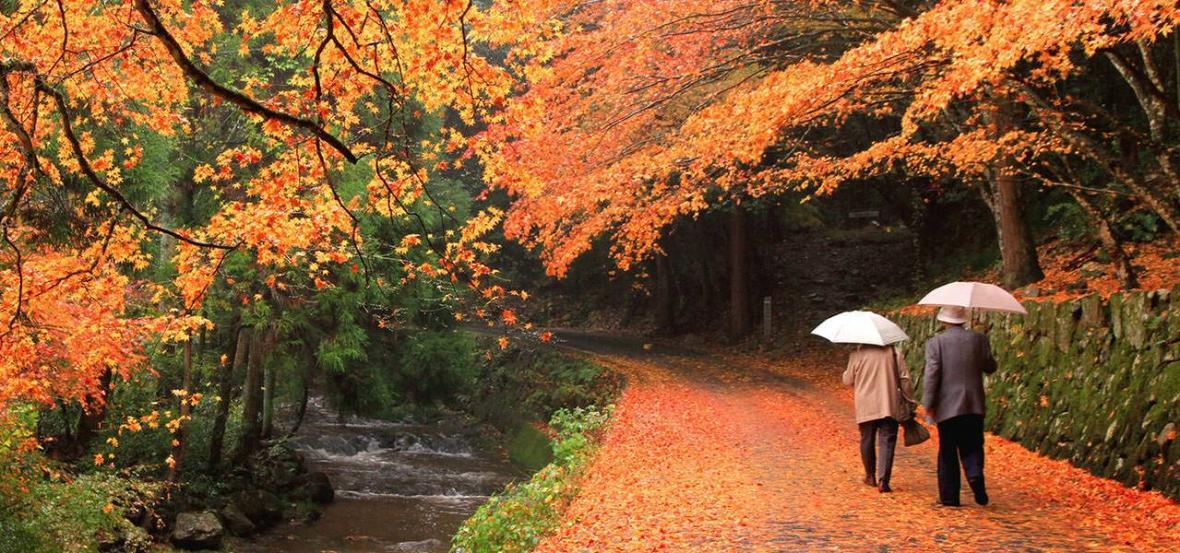 10 مکان دیدنی از سرتاسر جهان &ndash زیباترین مناطق جهان در فصل پاییز