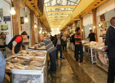 بوی تند ماهی و کسادی بازار