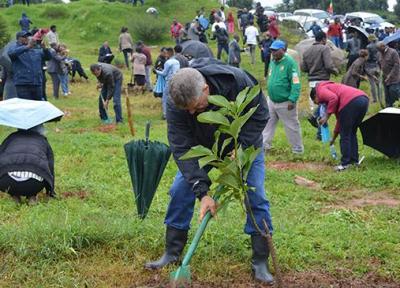 مردم اتیوپی در عرض 12 ساعت 350میلیون درخت کاشتند!