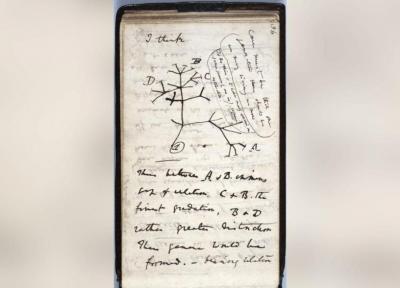 دو دفترچه معروف داروین به سرقت رفته