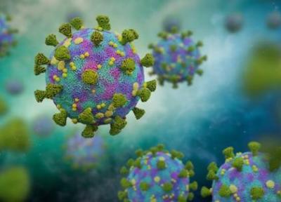 شناسایی گونه هندی ویروس کرونا در 17 کشور