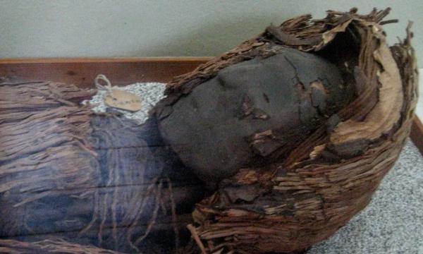 چرا مومیایی های چینچورو مغز کوچک تری داشتند و چه چیزی در پژوهش نو معین شد؟